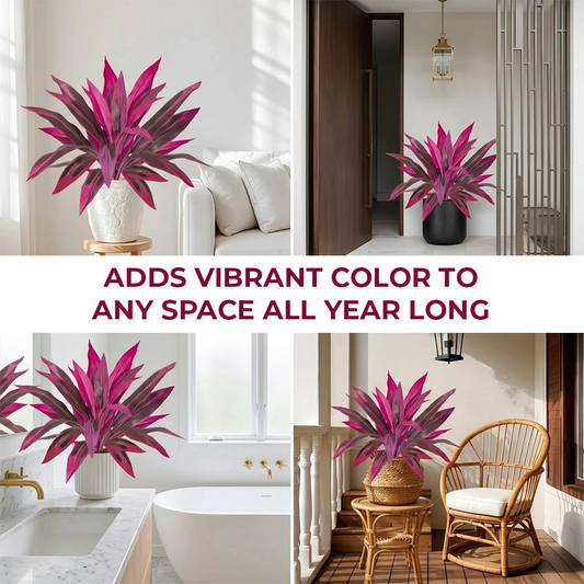 🔥Last Day 50% OFF🔥Artificial Dragon’s Blood Tree Plants