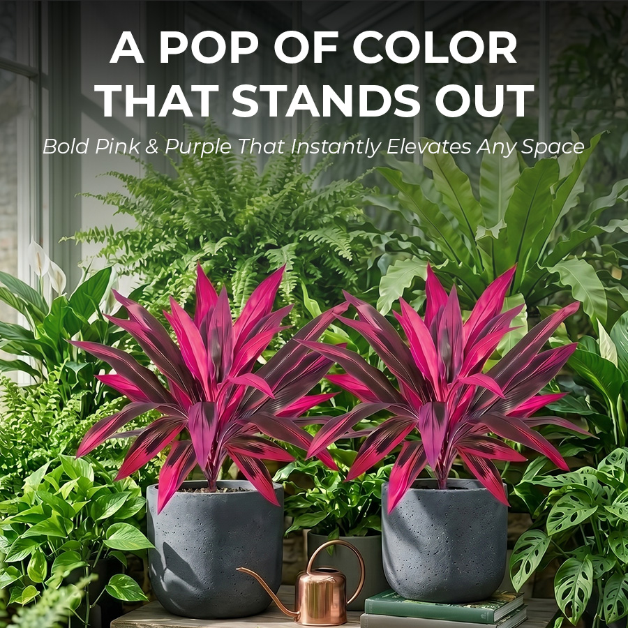 🔥Last Day 50% OFF🔥Artificial Dragon’s Blood Tree Plants