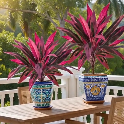 🔥Last Day 50% OFF🔥Artificial Dragon’s Blood Tree Plants